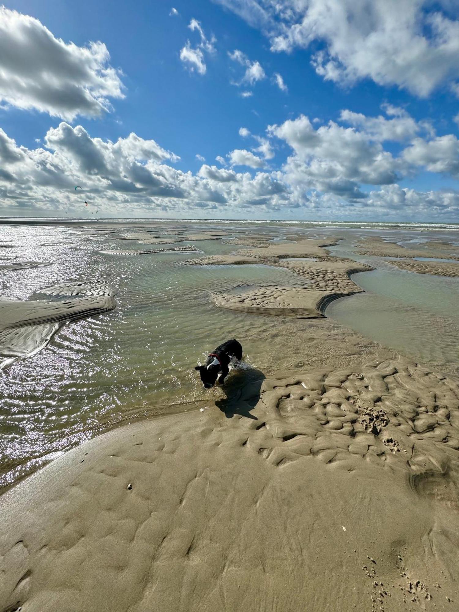 Le Paillette T2 400 M De La Plage Berck Bagian luar foto