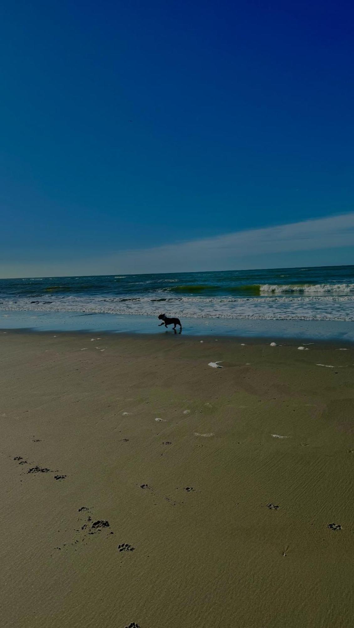 Le Paillette T2 400 M De La Plage Berck Bagian luar foto